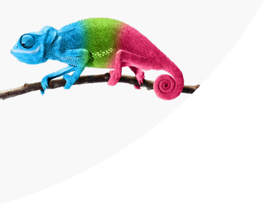 Le lecteur de glycémie OneTouch Verio Reflect® avec caméléon